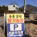 송촌호반농장