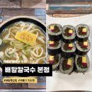 물참 | [거제도 맛집] 배말칼국수 본점 : 칼국수 웨이팅 맛집, 배말톳김밥_내돈내산 후기