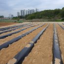 화영농장 이미지