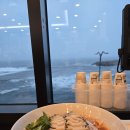 큰바다식당 | 속초 물회 맛집 봉포머구리 속초점 바다앞 식당 후기