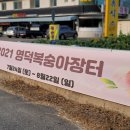 CU영덕오십천용진점 | 영덕명소 오십천 영덕특산물 황금은어 조형물 멋지다!