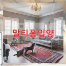 포항의료보장구종합센터 | 포항 유기견보호센터 말티폼입양 준비부터 완료까지 총정리