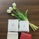 이너시아 더프리즘 유기농 생리대 실제 사용후기 결론: 너무 좋다 (ft.라보셀흡수체 적용) 이미지