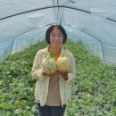 백자농장 이미지