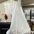 강릉 탕수육 맛집 사계절 탕수육 현지인 솔직 후기, 감자 크림 탕수육, 김치 치즈 피자 탕수육