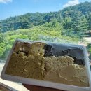 후포고등학교 | 울진카페 또와젤라또, 후포 해변 근처에서 만난 특별한 달콤함