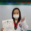 용인대 월드 태권도장 이미지