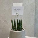 현송공인중개사사무소 네이버블로그
