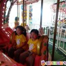 꿈이자라는땅 이미지