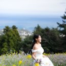 유채와바다 | 제주 리마인드 웨딩스냅 촬영 후기 | 제주도 봄 유채꽃 리마인드웨딩스냅