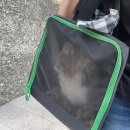 서진동물병원 이미지