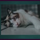 아산온천관광지 이미지