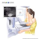 세이유외과 이미지