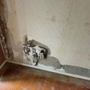 럭키3차아파트경로당 | 청주 율량동 럭키 아파트60평 디아망 도배 시공 후기