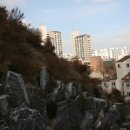 H9024 Daum카페