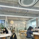둔산대로117번길 | [맛집_대전] 새삶스레_대전 예술의전당, 대전시립미술관 주변 브런치 맛집 방문 후기
