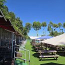 챠밍도그 | 경기 용인 강아지 수영장: 여기다댕댕이 골드펫&amp;도그베이 (서울 근교 강아지 수영장)