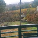 신라농원식당펜션 이미지