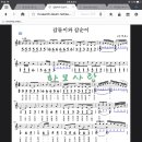 갑돌이와갑순이 Daum카페