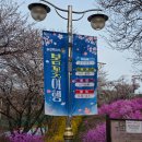 화명3동주민센터 화장실 | 부천 원미산 진달래축제 전날 혼자 방문해보기(feat.버스, 지하철, 주차장, 화장실, 푸드트럭 등)