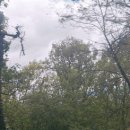 남한산성 백숙거리 이미지