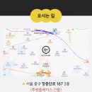 엠씨티 짐 시청 이미지