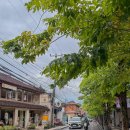 이동-1 | 발리 쿠타 - 로비나 이동 | PERAMA 쁘라마 버스 1인 예약 후기