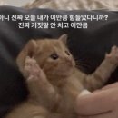 뽑뽀 이미지