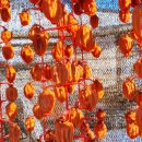 건조창고있는 풍경 이미지