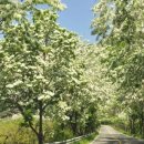 밀양댐생태공원 이미지