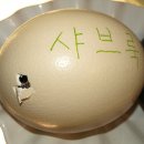 태곤농장 Daum카페