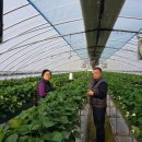 김정기 농장 이미지