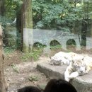 포레스트벨리캠프 이미지