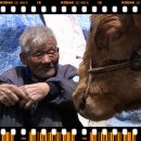 워낭소리 이미지