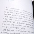 나무여행 이미지