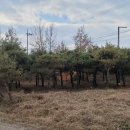 조형주유소 이미지