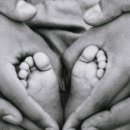 더올리비에르 이미지