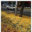 청구셀프세차 이미지