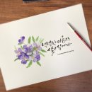 수채화 캘리그라피 이미지