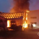 세종사료 이미지