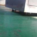 철든오빠 이미지