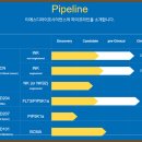티에스디 이미지