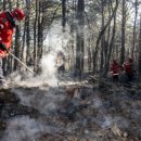 부산소방본부/동래소방서 | 부산 쇠미산 금정봉 산불 진화상황, 피해, 대책, 원인...1명 부상, 4ha 소실