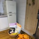 고븐달 제주 이미지