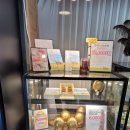 공룡타조랜드 이미지