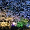 속초1리 마을회관 이미지