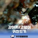 과천우주동물병원 이미지