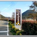 힐링정원 이미지