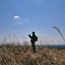 남원읍-33 이미지