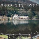후쿠오카 여행 2박3일 일정 유후인 버스투어 추천 코스 + 마이리얼트립 1월 할인코드
